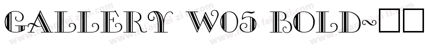 Gallery W05 Bold字体转换
